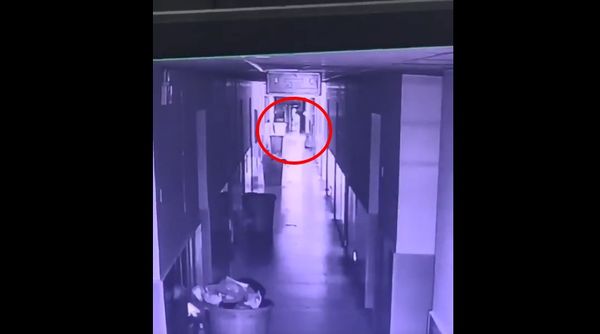 ▲▼             。（圖／翻攝自微博）