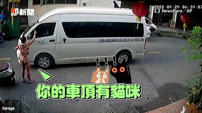 影／喵皇坐陌生車頂出巡　超猛兜風法引路人攔阻