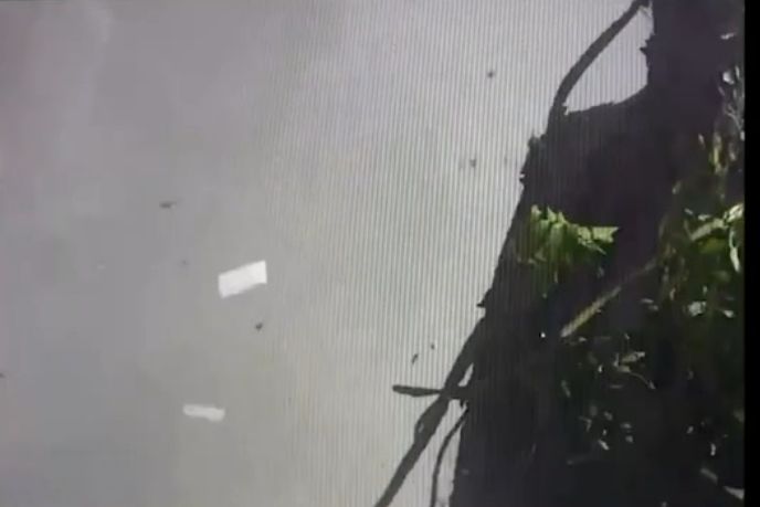 ▲水泥車墜橋瞬間曝光。（圖／記者許宥孺翻攝）