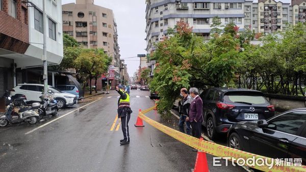 ▲▼宜蘭市民權新路288號一株路樹，因強勁雨勢傾倒在車道上。（圖／記者游芳男翻攝，下同）