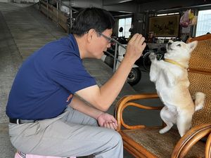 屏東市長參選人李清聖提寵物政策　路殺動物「不是廢棄物」