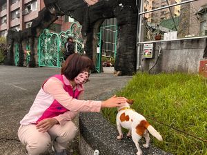 屏東市長參選人周佳琪寵物政策　認養替代買賣+設寵物公園