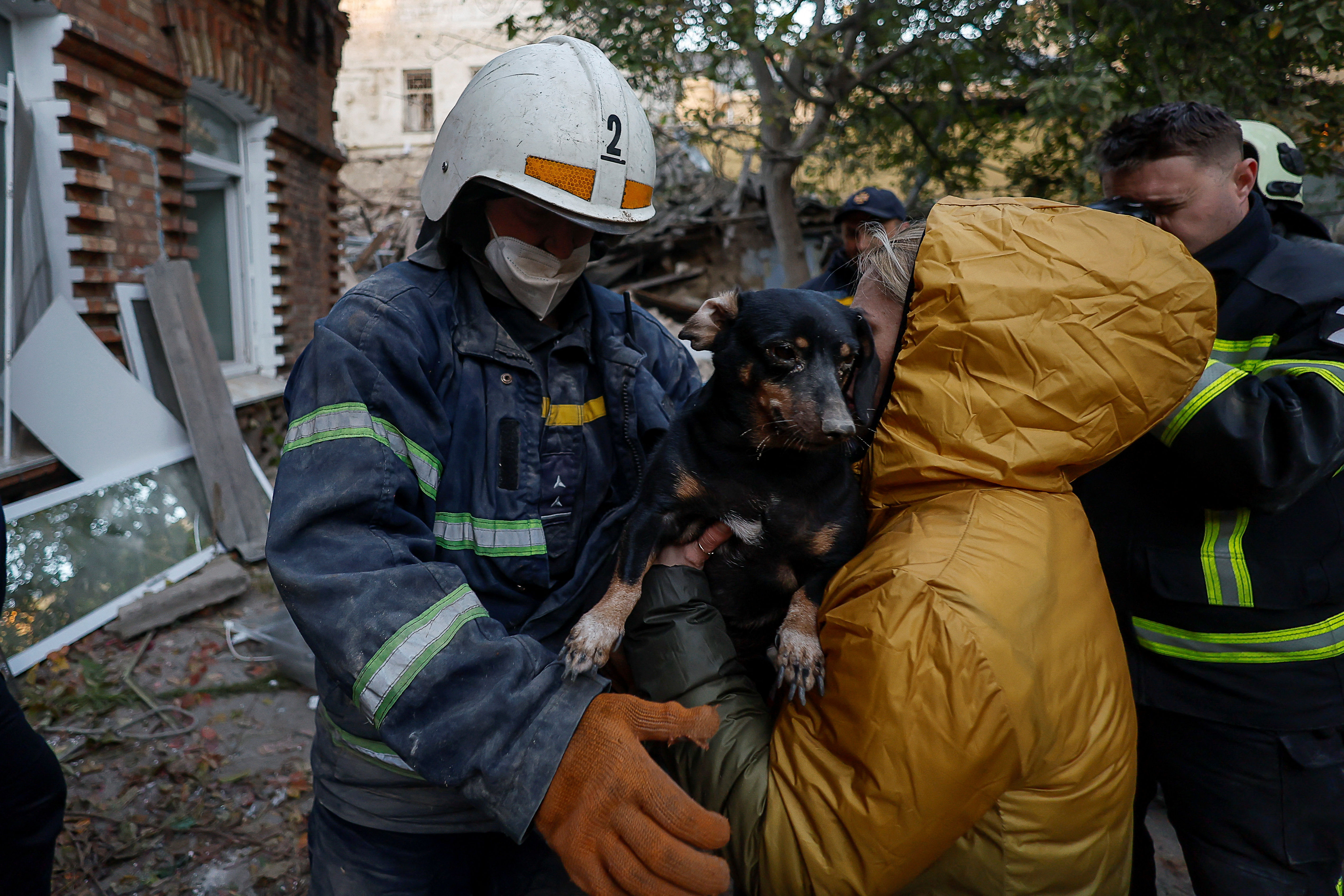 ▲▼ 尼古拉耶夫（Mykolaiv）一棟住宅遭俄軍導彈襲擊，搜救人員救出民眾的狗。（圖／路透）