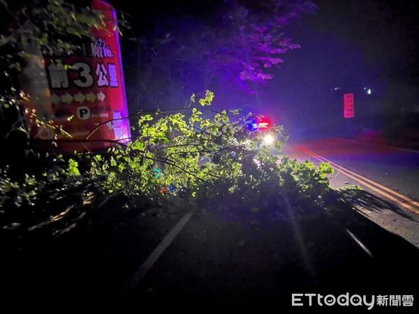 ▲信義鄉山區雨後路樹倒塌，警方提醒用路民眾注意行車安全。（圖／記者高堂堯翻攝）