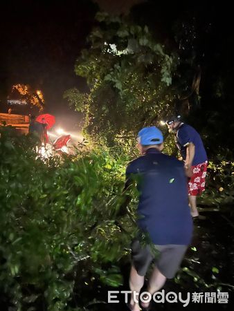 ▲埔里鎮雨後路樹倒塌，警方與民眾協力鋸斷移除、讓受阻人車脫困。（圖／記者高堂堯翻攝）