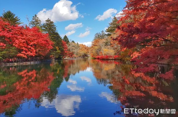 ▲▼長汎假期推出日本紅葉美景、泡溫泉以及品嚐日本美食等行程。（圖／長汎）