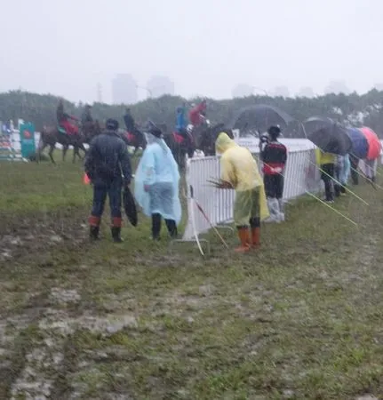 ▲▼台北市16日下豪雨，國民黨台北市議員應曉薇表示，台北市體育局卻堅持於萬華區河堤外的馬場町公園舉辦馬術嘉年華。（圖／應曉薇辦公室提供）