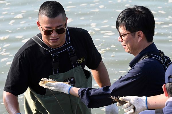 ▲▼陳其邁揪草爺「逗陣摸魚」，曝光彌陀海岸邊漁村小秘境。（圖／記者賴文萱翻攝）