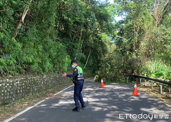 ▲連日豪雨造成土石鬆動路樹倒塌路中。（圖／龍潭警分局提供）