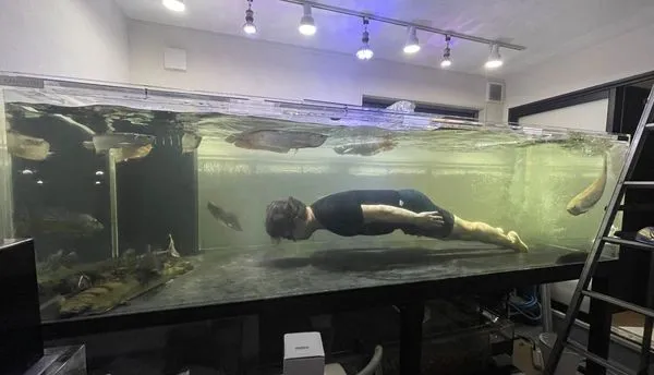 ▲男子打造三公尺長的魚缸，厭世時就進去與寵物魚共舞。（圖／翻攝自推特「@ryukiystyle3」）