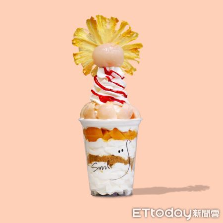 ▲台灣首家精品級優格霜淇淋品牌Smile Froyo於今日（10/20）在中山南西商圈正式開幕。（圖／Smile Froyo提供）