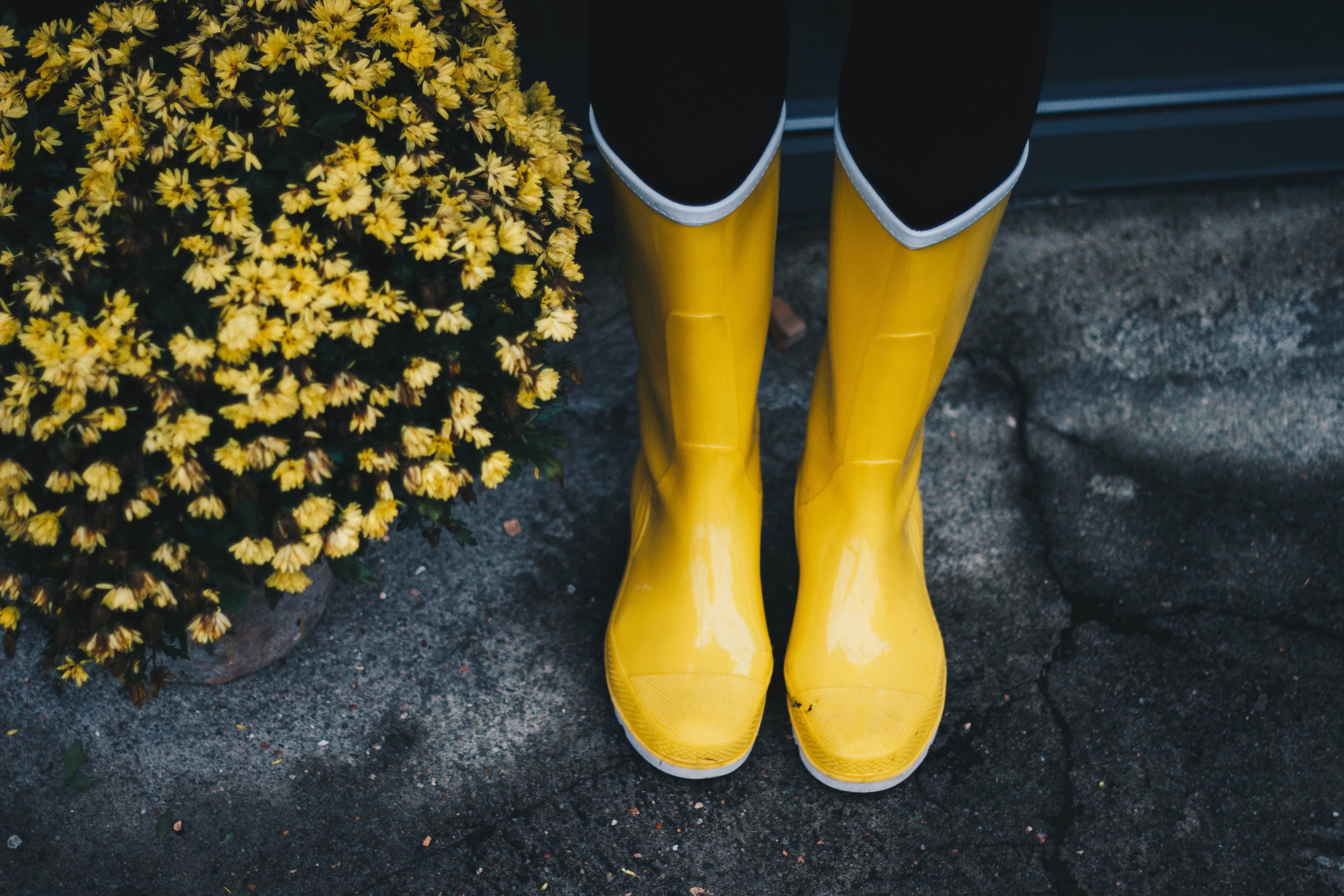 ▲雨靴,雨鞋,下雨。（圖／pexels）