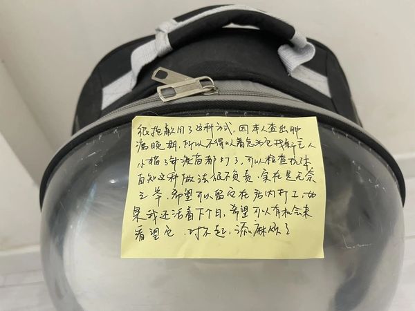 ▲▼店門口又有貓咪被棄氣炸　一看紙條「如果我還活著...」闆娘鼻酸。（圖／翻攝自抖音）