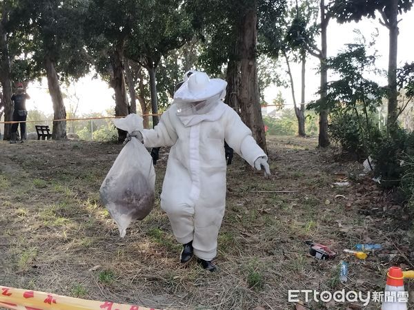 ▲彰化鹿港生態公園出現虎頭蜂窩。（圖／記者唐詠絮翻攝）