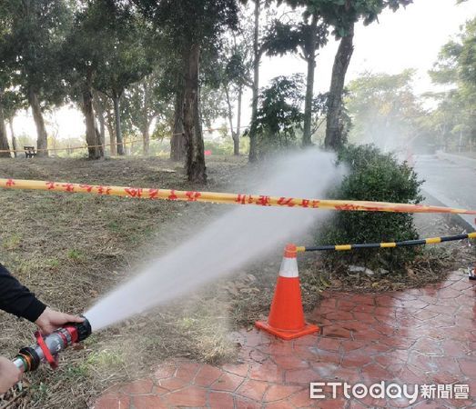 ▲彰化鹿港生態公園出現虎頭蜂窩。（圖／記者唐詠絮翻攝）