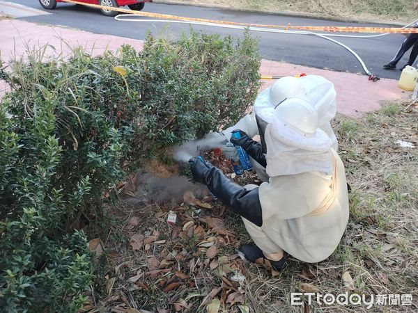 ▲彰化鹿港生態公園出現虎頭蜂窩。（圖／記者唐詠絮翻攝）