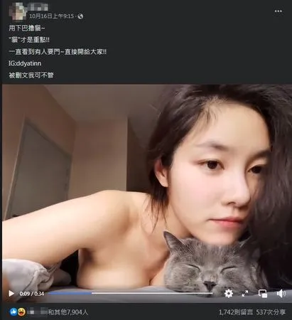 ▲▼             。（圖／翻攝自IG）