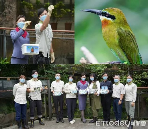 ▲華信航空、台灣大學森林環境暨資源學系研究團隊和台北市立動物園的保育栗喉蜂虎的研究計畫有成。（圖／北市動物園提供）