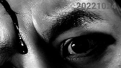 黃子佼頭遭砸傷「額前流血」！　Lulu驚喊：不用賣血換愛馬仕