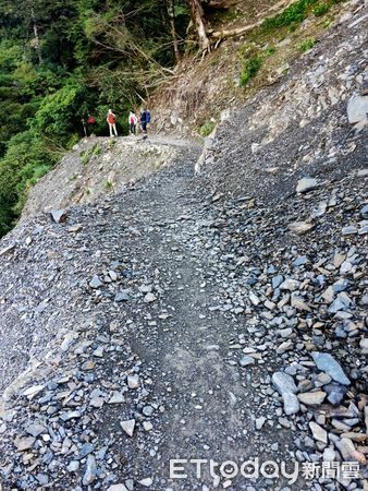 ▲能高越嶺國家步道西段步道現況。（圖／南投林區管理處提供）