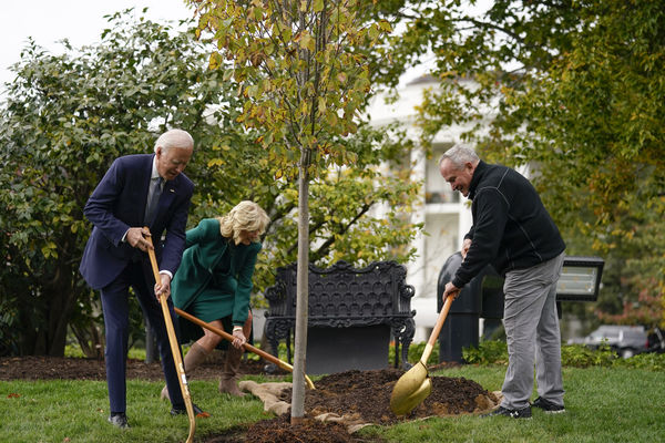 ▲▼美國總統拜登（Joe Biden）與夫人吉兒（ Jill Biden）參加白宮植樹儀式，致敬白宮園丁漢尼（Dale Haney）服務50周年。（圖／達志影像／美聯社）