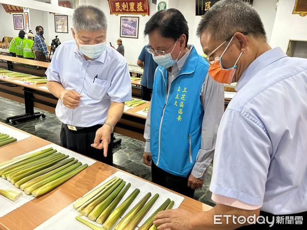 ▲三芝茭白筍年度評鑑 最飽滿鮮甜筍王出爐。（圖／記者戴上容翻攝）