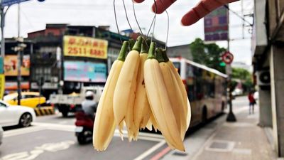 掏出「僅剩的鈔票」好心幫阿婆買花！男下秒驚見她腰包「藍鈔塞爆」快哭出來