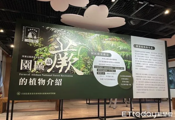 ▲▼ 嘉義林管處蕨類植物展神木攝影作品徵選 。（圖／嘉義林管處提供）