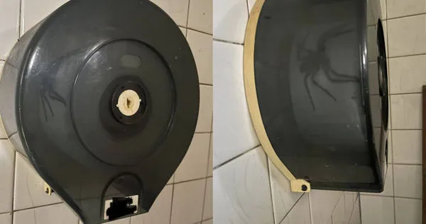 一名男網友日前在公廁上廁所，準備要抽衛生紙擦屁股時，竟發現滾筒衛生紙內竟藏了一隻超巨大的「喇牙」（白額高腳蛛）。（圖／翻攝臉書路上觀察學院）