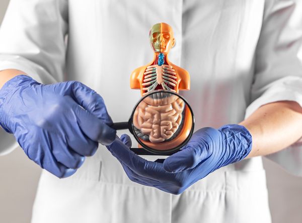 ▲大腸鏡、大腸癌、內視鏡。（圖／123RF）
