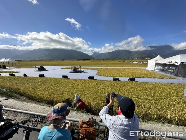 ▲▼2022池上秋收藝術節。（圖／記者林育綾攝）