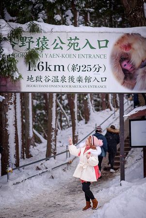 ▲▼日本長野雪猴溫泉公園（圖／滿分的旅遊札記提供）