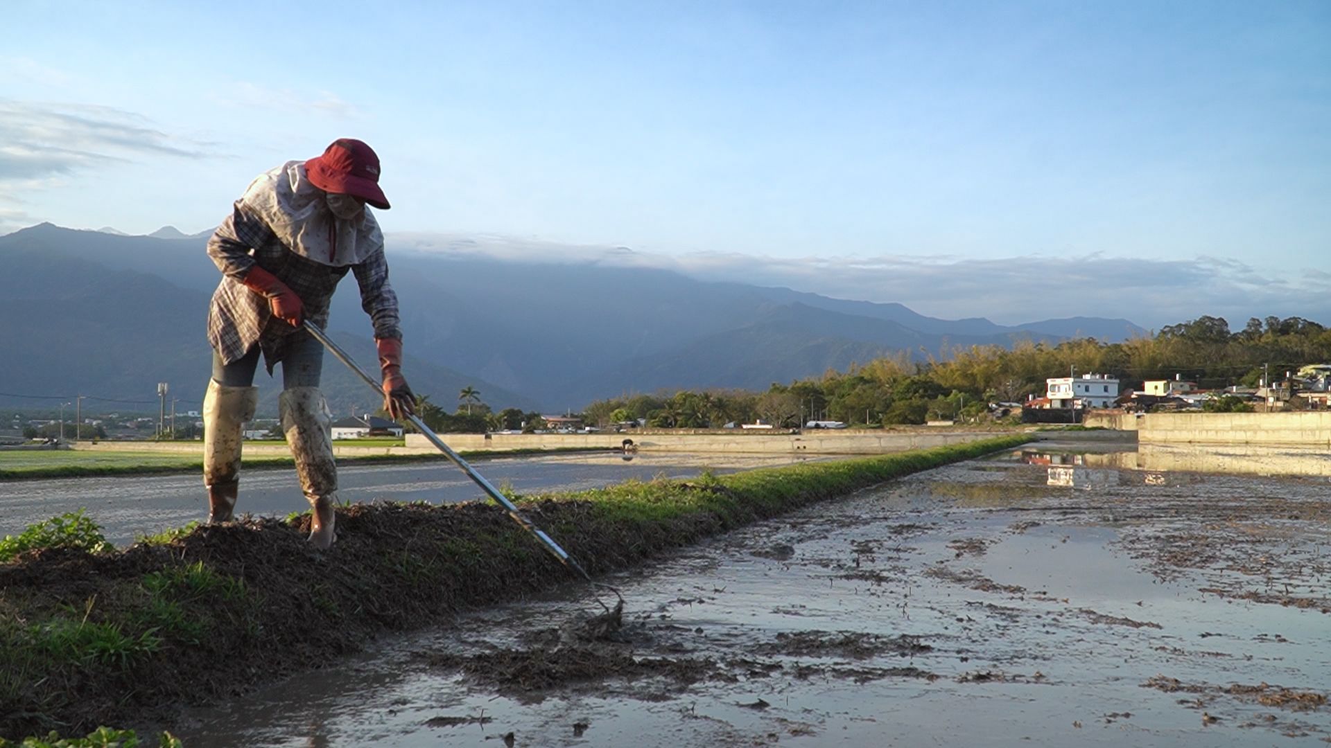 ▲▼蕭菊貞與團隊拍攝《稻浪上的夢想家》紀錄片，揭開池上如何改變⾃⼰的命運，開創出獨⼀無⼆的精彩。（圖／《稻浪上的夢想家》製作團隊提供）