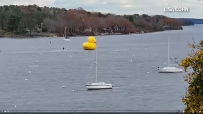 黃色小鴨「停靠港邊後自行烙跑」嚮往自由　港邊人員：不知哪來的