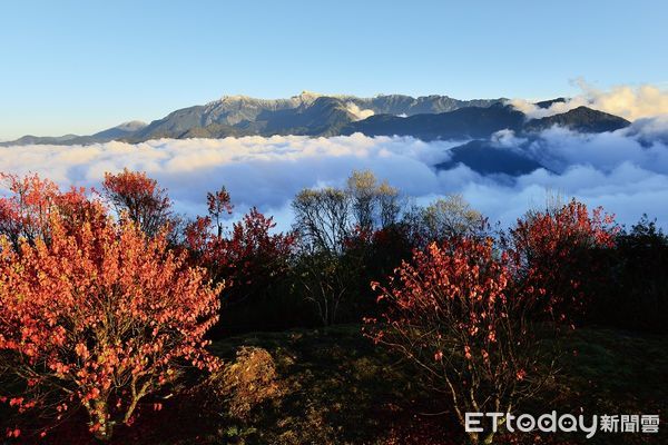 ▲國際旅展將登場，林務局推出38條森林旅遊行程。（圖／林務局提供）