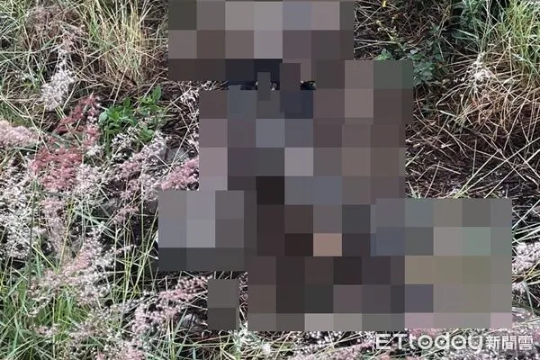 ▲▼台中重劃區驚見一具白骨 。（圖／民眾提供）