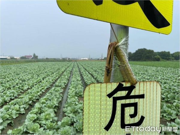 ▲東港警分局員警逮獲楊男涉嫌毀損競選旗幟            。（圖／記者陳崑福翻攝，下同）