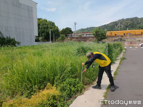 ▲台東縣都計區土地雜草超過60公分，限期未改善者最高可罰6千元。（圖／記者楊漢聲翻攝）