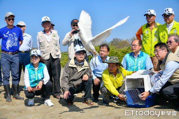 ▲歡迎民眾一起來尋找黃偉哲市長2020年在學甲濕地野放編號T85等黑面琵鷺。（圖／記者林悅翻攝，下同）