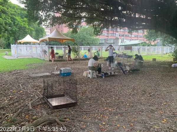 李姓愛媽長期於台北市華山狗公園旁空地送養犬貓。（台北市動保處提供）