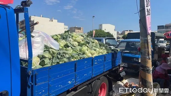 ▲雲林出現一車高麗菜山，菜農喊價1顆15元，吸引大批鄉親包圍選購。（圖／記者蔡佩旻翻攝）