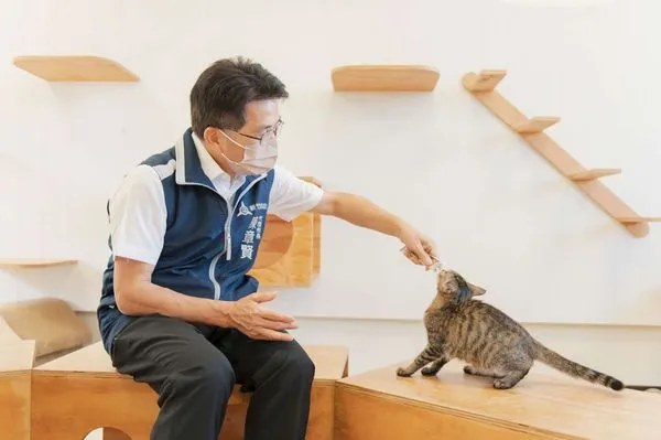 ▲陳章賢代理市長参觀貓咪認養區並餵食貓泥。（圖／新竹市政府提供）