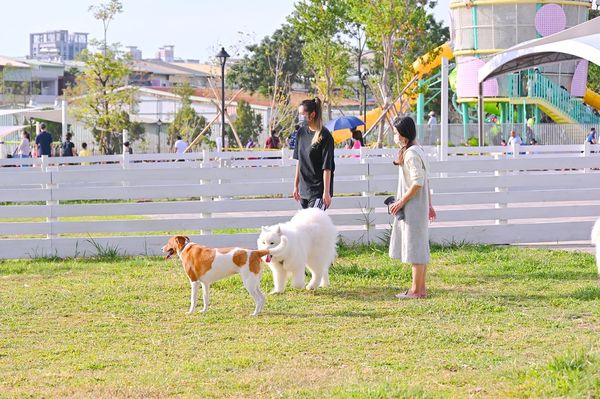 ▲▼ 馬卡龍公園（圖／橘子狗愛吃糖提供）