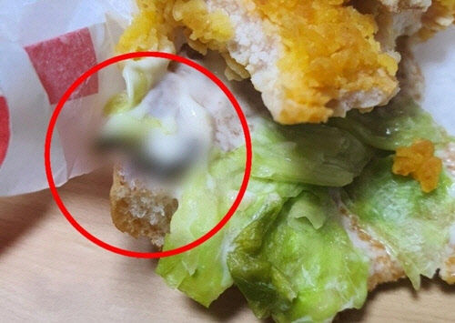 ▲▼南韓民眾在麥當勞吃漢堡時，發現裡面竟含有一條細長的蟲。（圖／翻攝自韓網）