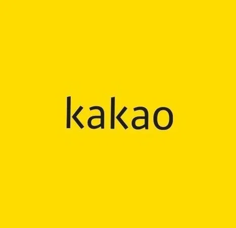 ▲IDOL研究所被挖出早被Kakao收購。（圖／翻攝自Kakao官網）