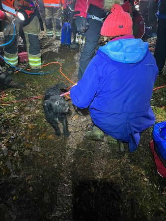 狗狗墜落溝壑救援。（圖／翻攝自Scarborough and Ryedale Mountain Rescue Team）