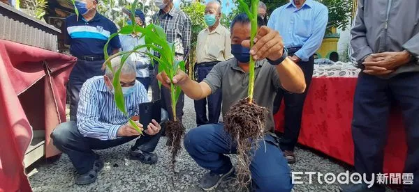 ▲南投縣推動生物炭產業化，輔導鹿谷竹山林農實踐在地循環經濟。（圖／南投縣政府提供，下同）