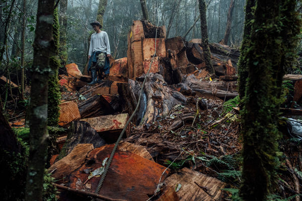 ▲▼2022台灣新聞攝影展。自然環境與科技類 優選（圖／台灣新聞攝影協會提供／余志偉攝）