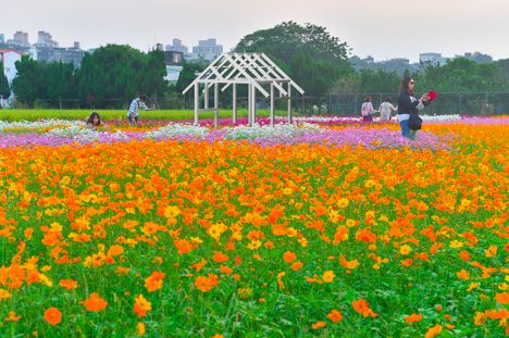 ▲▼桃園,花彩節,太空梭,光雕秀,地方創生,大溪月眉休閒農業區,花海,裝置藝術,街頭藝人。（圖／桃園市政府新聞處提供）