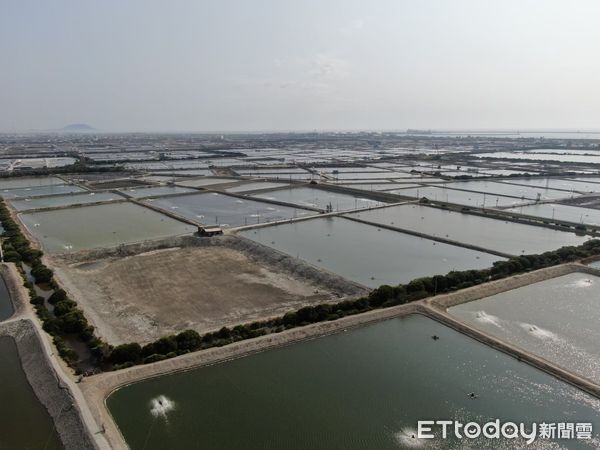 ▲▼漁電共生養殖團隊。（圖／民眾提供）